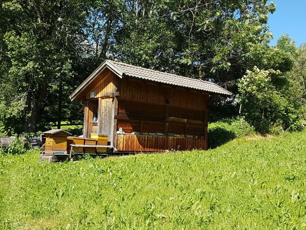Apartments Nature Apis Landheim Anterselva di Mezzo Ngoại thất bức ảnh
